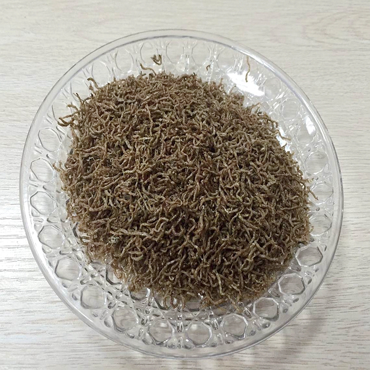 Organic Fish Feed for Fish Food Freeze Dried Bloodworms